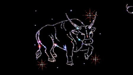 Union Taurus with Taurus: harmonisten suhteiden salaisuudet