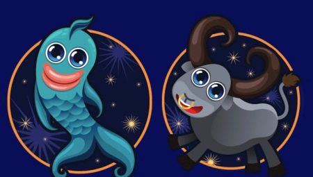 Touro e Peixes: o que se deve esperar de tal relacionamento?