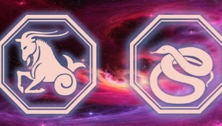  Características dos homens de Capricórnio, nascidos no ano da serpente