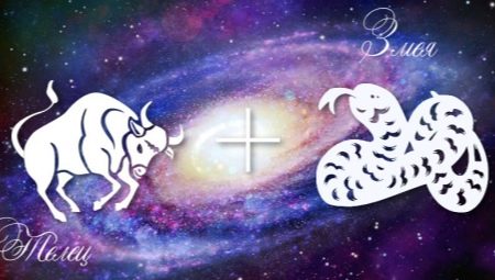 Taureau-Serpent mâle: traits de personnalité et compatibilité