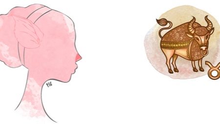 Taureau, né l'année du cochon: caractéristique