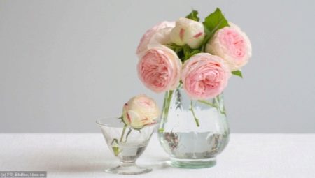 Que dois-je faire pour que les roses restent longtemps dans un vase?