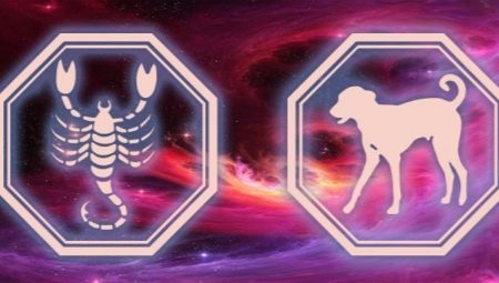 A kutya évében született hím Scorpio jellemzői