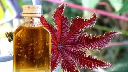 Utilisation de l'huile de ricin en cosmétologie