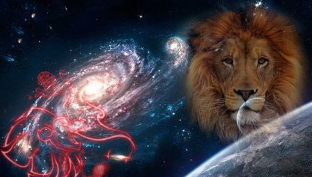 Lion mâle né en l'an de Cabana: caractéristique et compatibilité