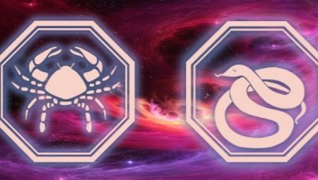 Femme cancéreuse née l'année du serpent: caractère et compatibilité amoureuse