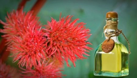 Huile de ricin pour les cheveux: application et effet