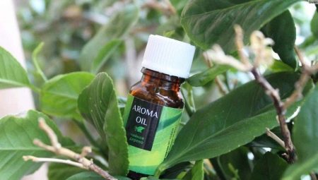 Huile d'arbre à thé pour le visage: les avantages, les inconvénients et les subtilités de l'utilisation