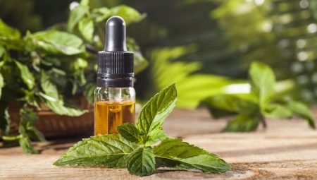 Huile de menthe poivrée: Propriétés et applications