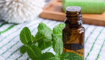 Huile de menthol: propriétés et caractéristiques d'utilisation