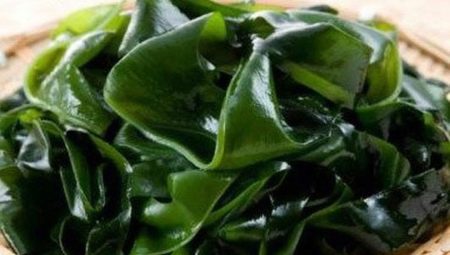 Laminaria Wrap: avantages, inconvénients et règles
