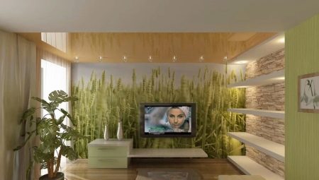 Feng Shui pour un appartement ou une maison: les règles de planification et de design d'intérieur