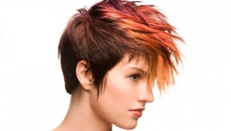 Coupe de cheveux Gavrosh: caractéristiques et variétés