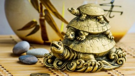 La valeur de la tortue: où mettre ce qui symbolise les bijoux et les talismans?