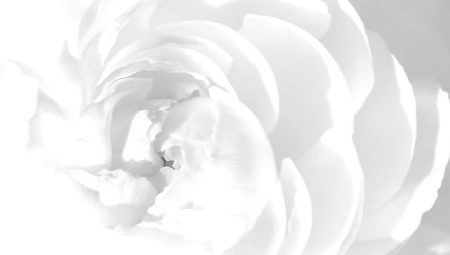 La couleur blanche en psychologie: qu'est-ce que cela signifie et symbolise?