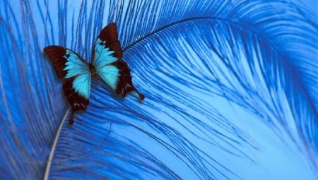 La couleur bleue en psychologie: qu'est-ce que cela signifie et symbolise?