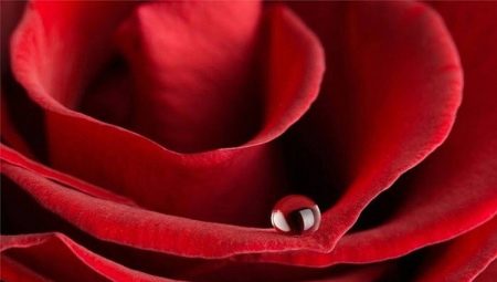 Qu'est-ce que la couleur rouge signifie?