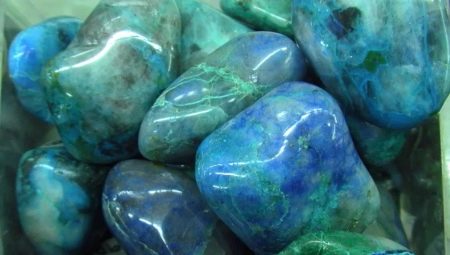 Chrysocolle: description et impact sur l'homme