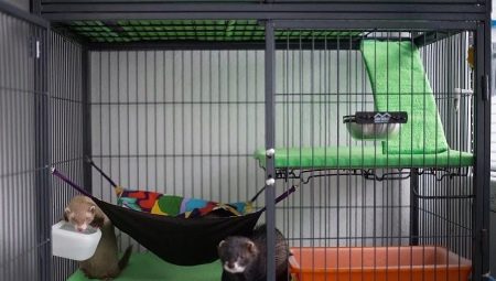 Ferret ketrecek: jellemzők, kiválasztás és létrehozás