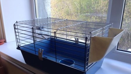 Cages à cochons d'Inde: sélection et arrangement