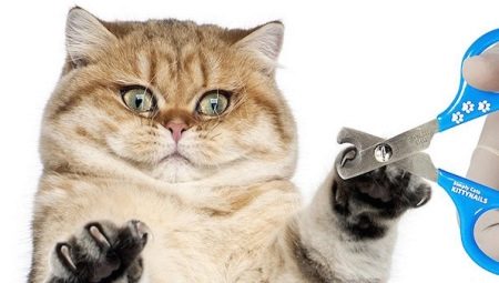 Coupe-ongles Cat: types, caractéristiques du choix et fonctionnement