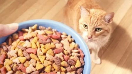 Prime alimentaire pour chats: composants, marques, choix
