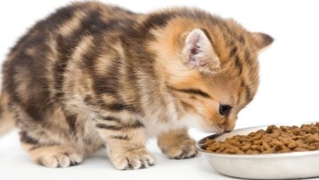 Nourriture pour chat super premium: description, marques, conseils pour choisir