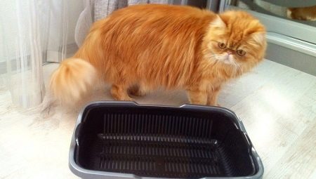Plateaux à côtés hauts pour chats