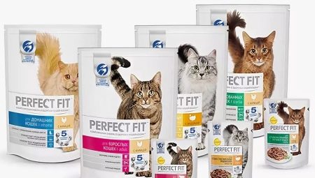 Nourriture sèche super premium