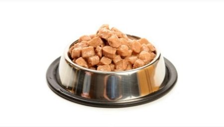 Nourriture humide pour chat: composants, marques, sélection, mode d'alimentation