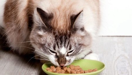 Nourriture humide pour chat super-premium: composition, marque, choix