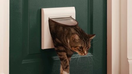 Choisir une porte aux toilettes pour le chat