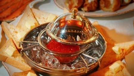 Ikornitsa: jellemzők, típusok és választások