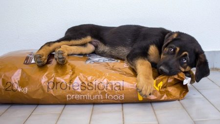 Hogyan és hogyan táplálkozzon a juhászkutyákkal?