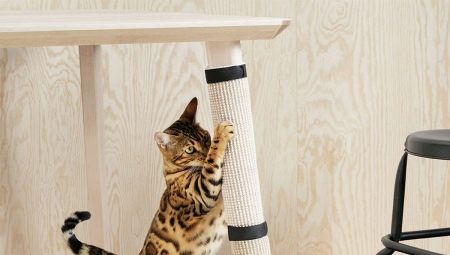 Comment sevrer le chat pour déchirer le papier peint?