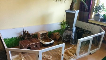 Comment faire un rack pour les cochons d'Inde avec vos propres mains?