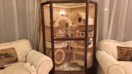 Comment faire une vitrine pour votre propre chinchilla?