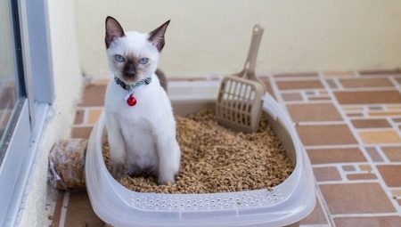 Comment choisir et utiliser un plateau à treillis pour chat?