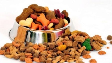 Comida para cães super premium: características, revisão, seleção, regras de alimentação