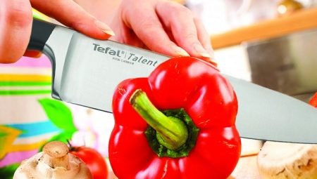 Tefal kések: jellemzők és modellek áttekintése