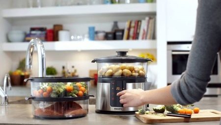 Steamers: caractéristiques, types et utilisations