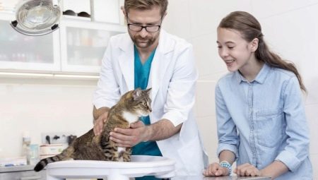 Combien pèse un chat?