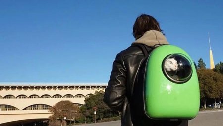 Conseils pour choisir un sac à dos pour chat