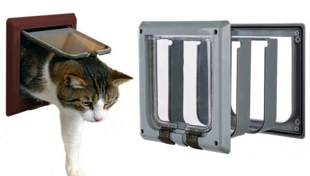 Types et sélection de portes pour chats