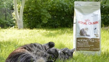 Choisir de la nourriture pour chat à partir de 12 ans