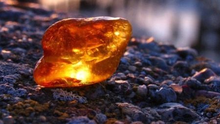 Ambre: caractéristiques, types et propriétés de la pierre