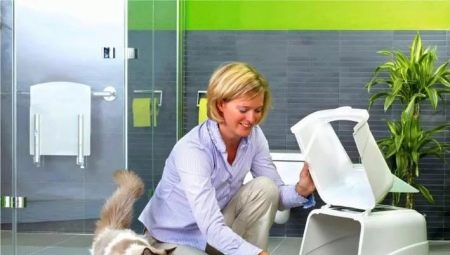 Toilettes fermées pour chats et chats: description, sélection et utilisation