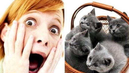 Aylurofobiya: de quoi s'agit-il et comment s'en débarrasser?