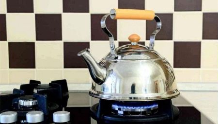 Théières pour la cuisinière à gaz: types et subtilités de choix