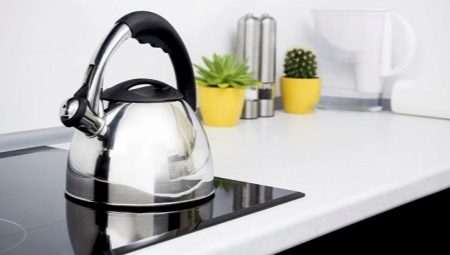 Bouilloires pour cuisinières à induction: les types et les subtilités de choix